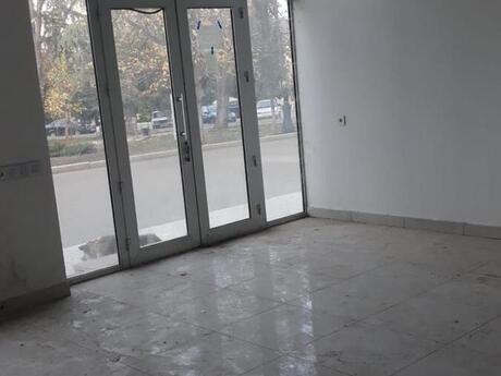 Obyekt - Gəncə - 178 m²