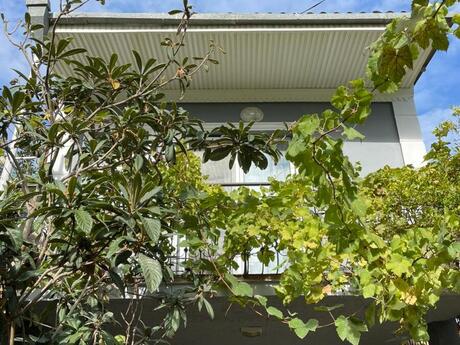 6 otaqlı həyət evi/bağ evi - Xətai r. - 165 m²
