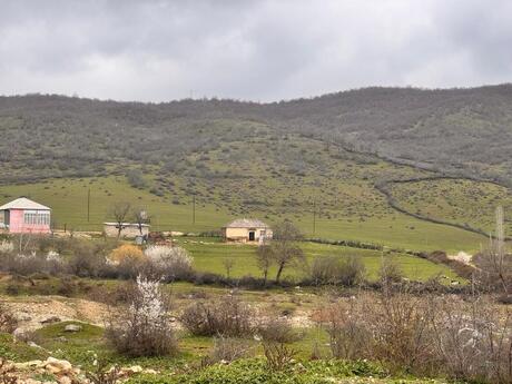 Torpaq - Şabran - 36 sot