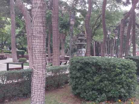 3 otaqlı yeni tikili - Yasamal r. - 170 m²