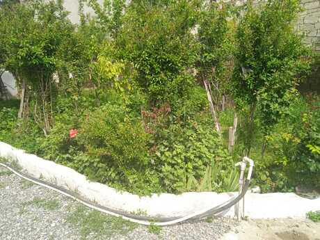 9 otaqlı həyət evi/bağ evi - Badamdar q. - 240 m²