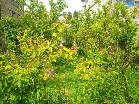 9 otaqlı həyət evi, 240 m², Badamdar: 246 000 ₼ 5