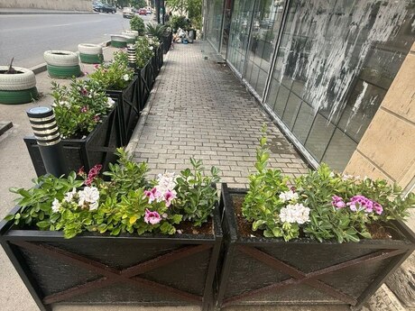 Obyekt - Bakıxanov q. - 230 m²