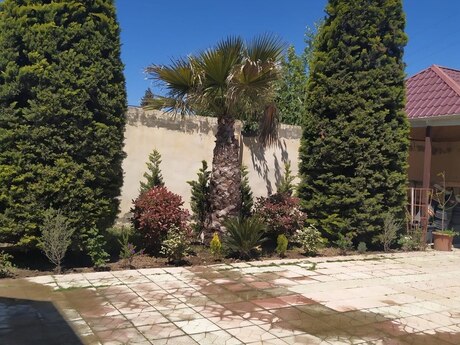 5 otaqlı həyət evi/bağ evi - Mərdəkan q. - 350 m²