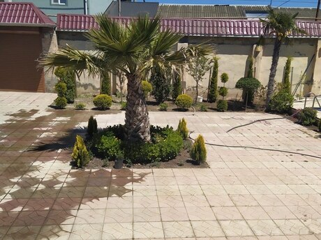5 otaqlı həyət evi/bağ evi - Mərdəkan q. - 350 m²