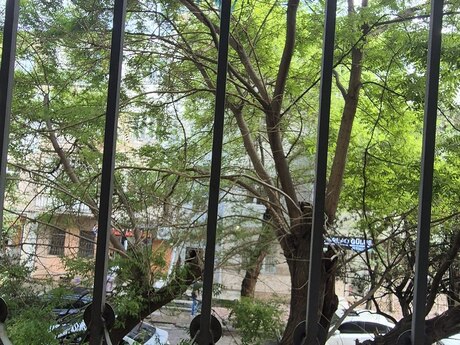 4 otaqlı həyət evi/bağ evi - 8 Noyabr m. - 100 m²