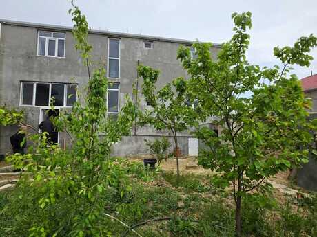 Buzovna q.
