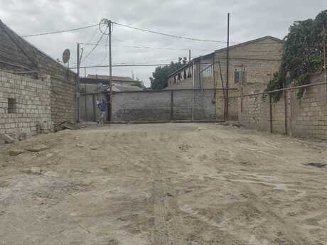 Buzovna q.