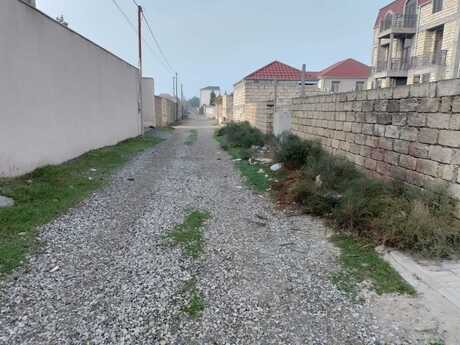 Novxanı q.