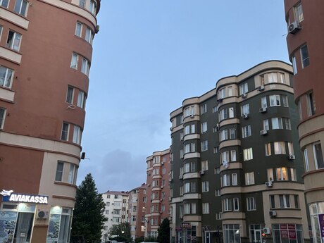 Masazır q.