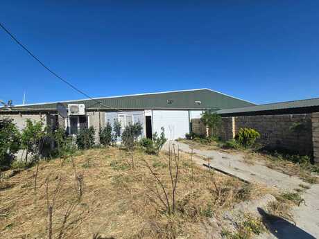 Elan №6146766 - Bakı, Pirəkəşkül q., 20000 m²