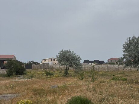 Kürdəxanı q.