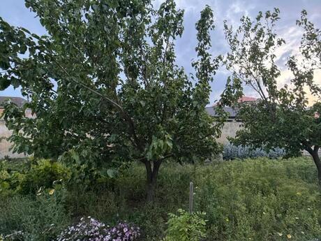 4 otaqlı həyət evi, 150 m², Şüvəlan: 300 000 ₼ 5