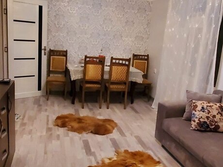 Elan №6147813 - Bakı, Elmlər Akademiyası m., 2 otaqlı, 33 m², 5/5 mərtəbə