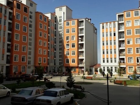 Masazır q.