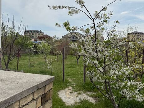 6 otaqlı həyət evi, 180 m², Novxanı: 269 999 ₼ 3