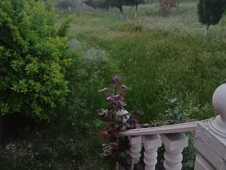 Объявление №6149630 - Баку, пос. Нардаран, 3-комн., 135 м²