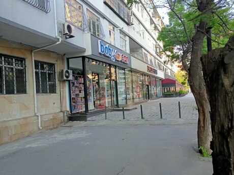 Elmlər Akademiyası m.