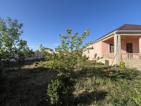 Dübəndi q.