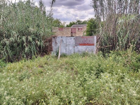 Кюрдамир