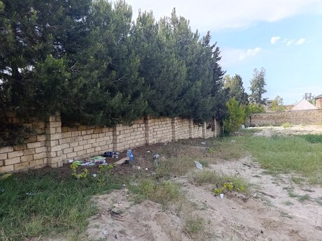 Novxanı q.