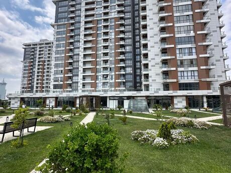 Koroğlu m.