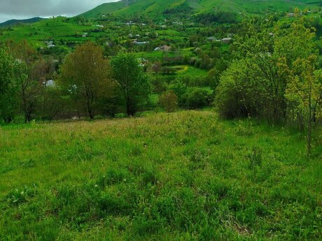 Tovuz