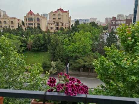 Объявление №6151542 - Баку, м. Низами, 2-комн., 50 м², 5/5 этаж