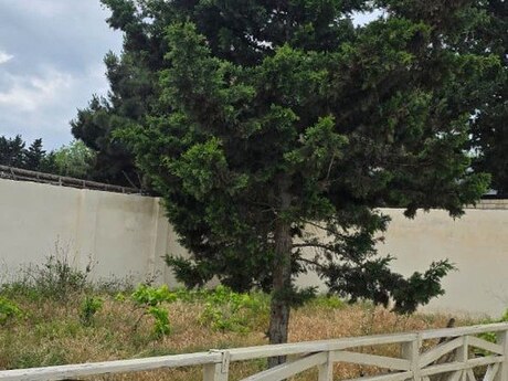 3 otaqlı həyət evi, 95 m², Pirşağı: 160 000 ₼ 3
