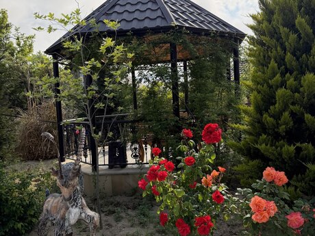 7 otaqlı həyət evi, 400 m², Bilgəh: 970 000 ₼ 4