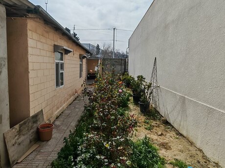 Объявление №6152525 - Баку, пос. Бакиханова, 4.5 сот
