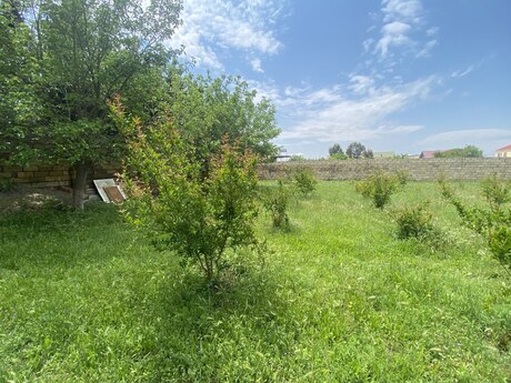 пос. Новханы
