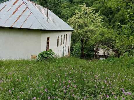 Астара р.