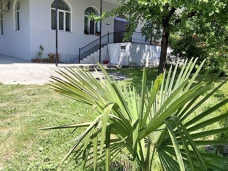 Şəki