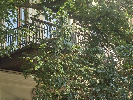 3-room apartment, 90 m², Sahil: 385 000 ₼ 4