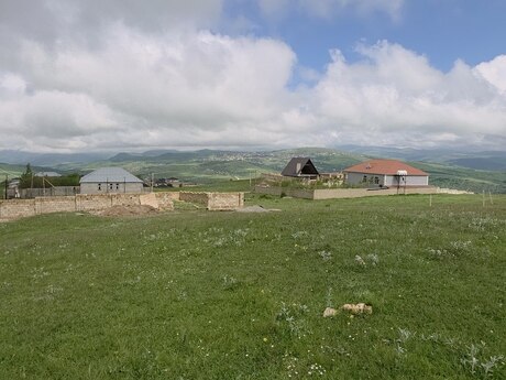 Şamaxı