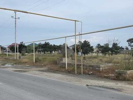 Suraxanı q.