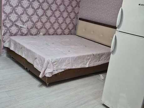 Qaraçuxur q.