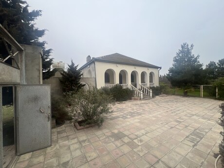 Şağan q.