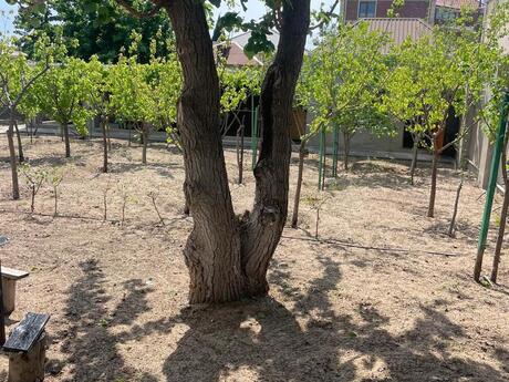 3 otaqlı həyət evi, 100 m², Novxanı: 138 000 ₼ 4