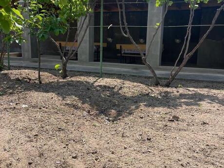 3 otaqlı həyət evi, 100 m², Novxanı: 138 000 ₼ 5