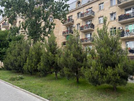 Elan №6157797 - Bakı, Şah İsmayıl Xətai m., 1 otaqlı, 31 m², 3/5 mərtəbə