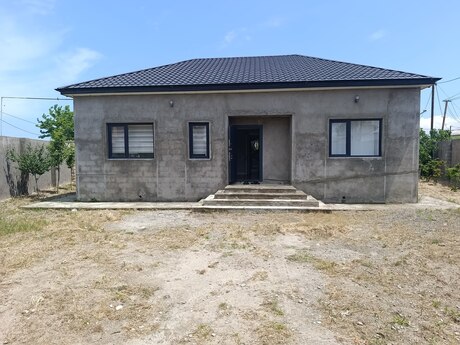 Novxanı q.
