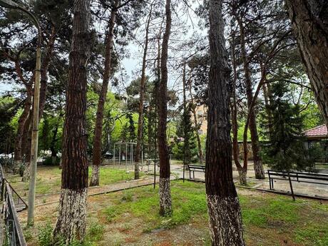 Объявление №6159931 - Баку, Наримановский  р., 3-комн., 75 м², 4/5 этаж