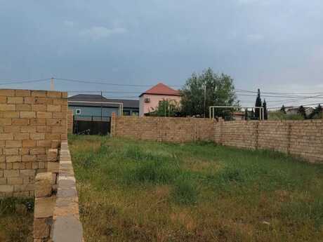 Novxanı q.