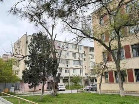 Объявление №6160204 - Баку, Бинагадинский р., 2-комн., 65 м², 2/5 этаж