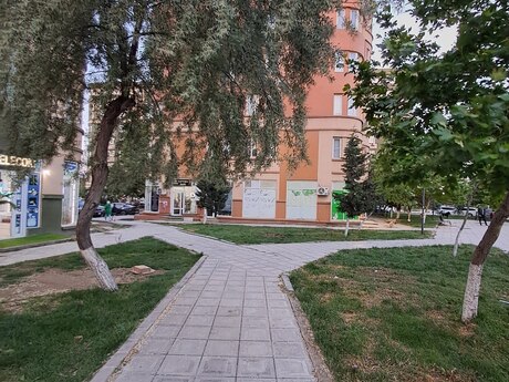 Masazır q.