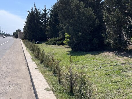 Şıxov q.