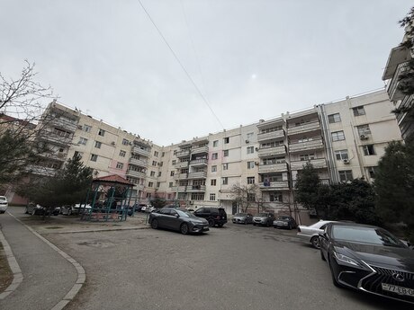 Şah İsmayıl Xətai m.