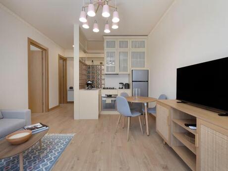 Elan №6163887 - Bakı, Nəriman Nərimanov m., 2 otaqlı, 55 m², 11/17 mərtəbə